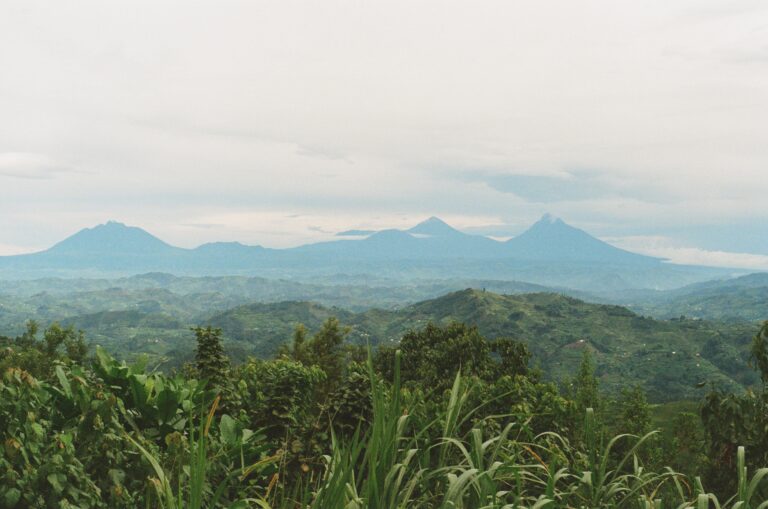 Distant volcanoes seen from the lodge in Nkuringo (Photo Credit: Alexandra Hankins)