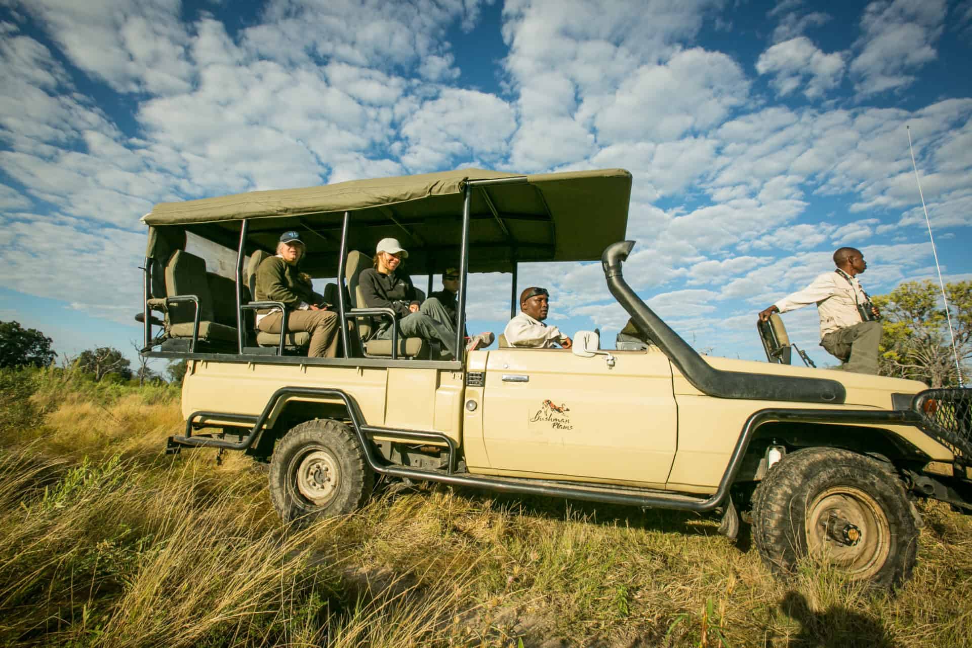 Why NOW is a great time for safari travel - The Wild Source