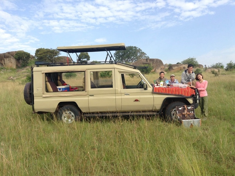 Experience on safari