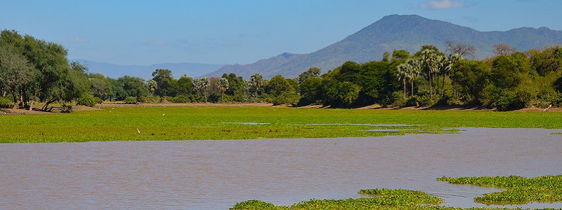 Lower Zambezi National Park, Zambia