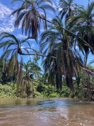 Boating from Mboko Lodge (Photo Credit: Kelly McBride)