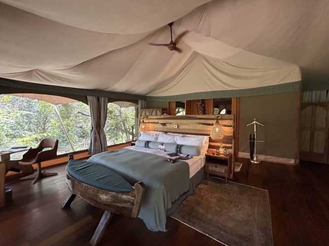 Main area of our room up in the trees (Photo Credit: Katt Hendershot)