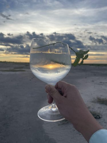 G&T on safari (Photo Credit: Clara Moore)