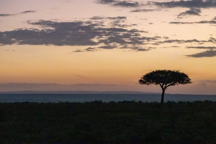 Sunrise on the savannah (Photo Credit: Katt Hendershot)