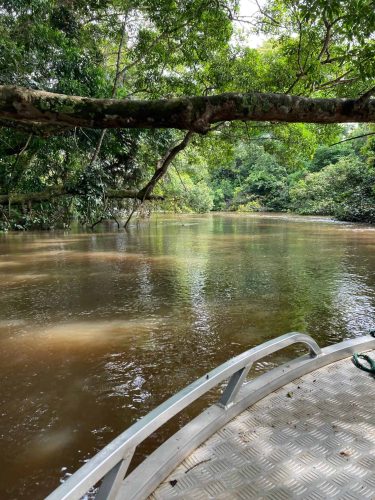 Morning boating from Mboko Lodge (Photo Credit: Kelly McBride)
