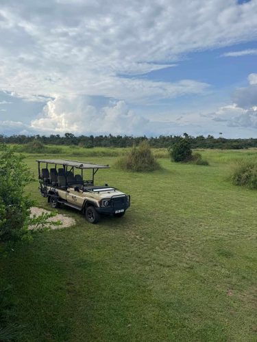Termite mounds are abundant at Mboko Lodge (Photo Credit: Kelly McBride)